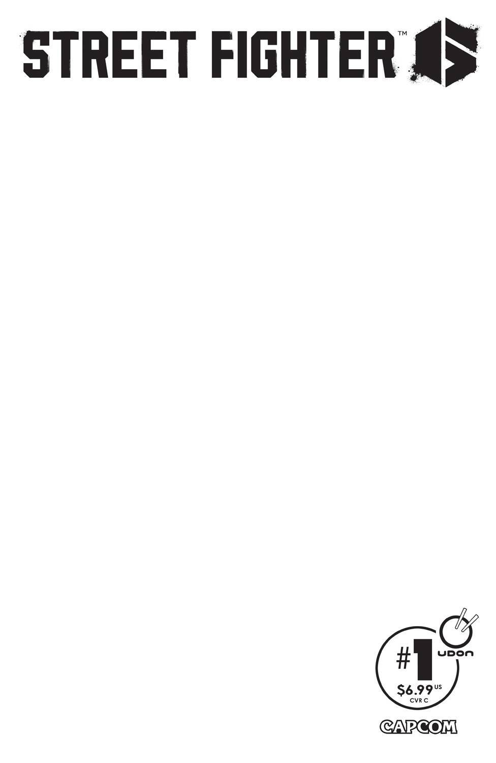 Street Fighter 6 #1 Blank Variant Cover C