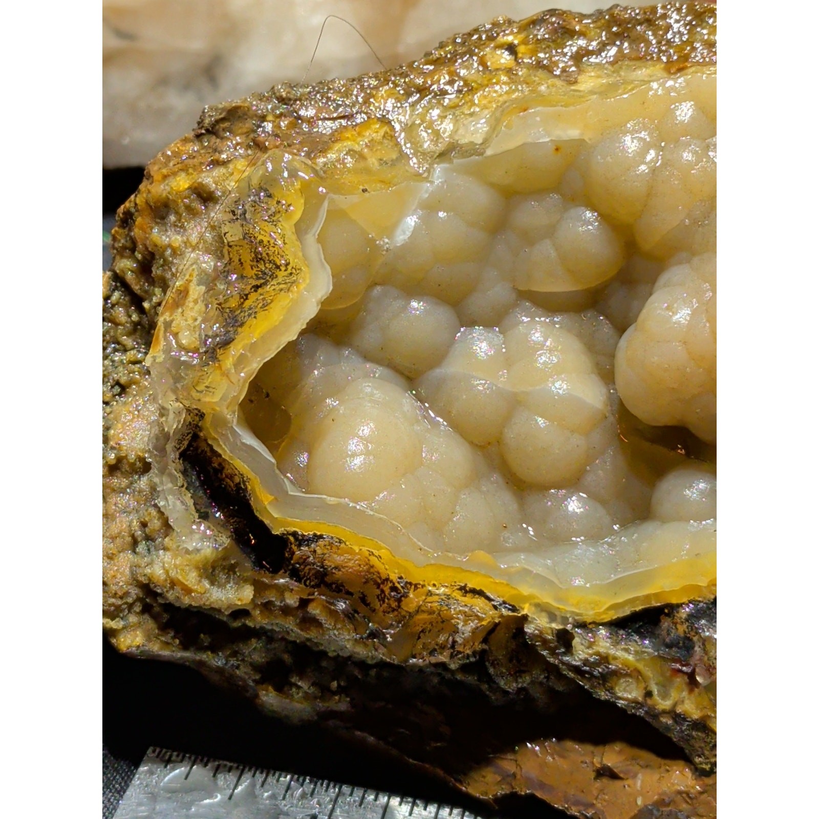 Thunder Egg Yellow Botryoidal Specimen Natural Form (1lb 10oz)