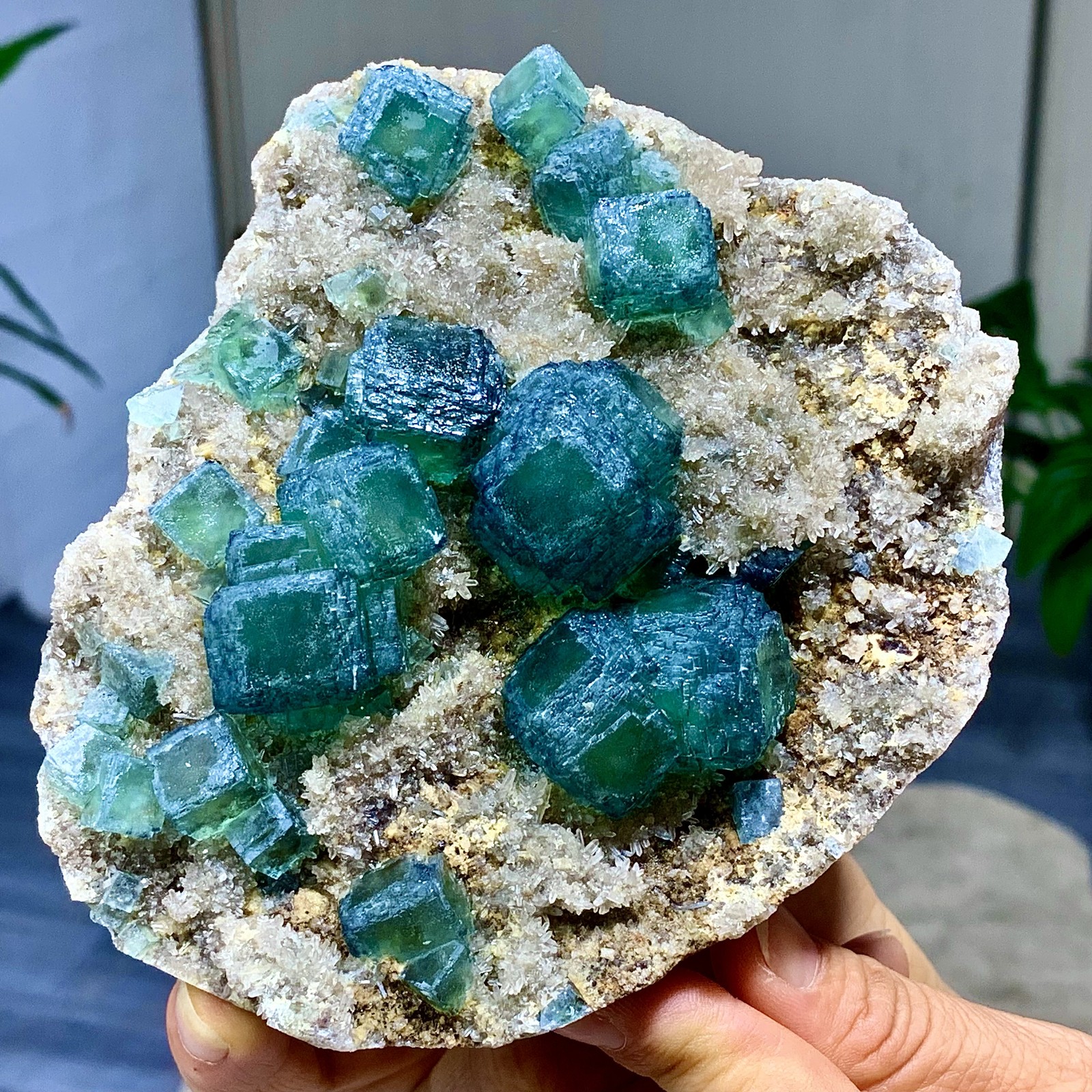 1.62LB Rare transparent green cubic fluorite mineral crystal sample/China
