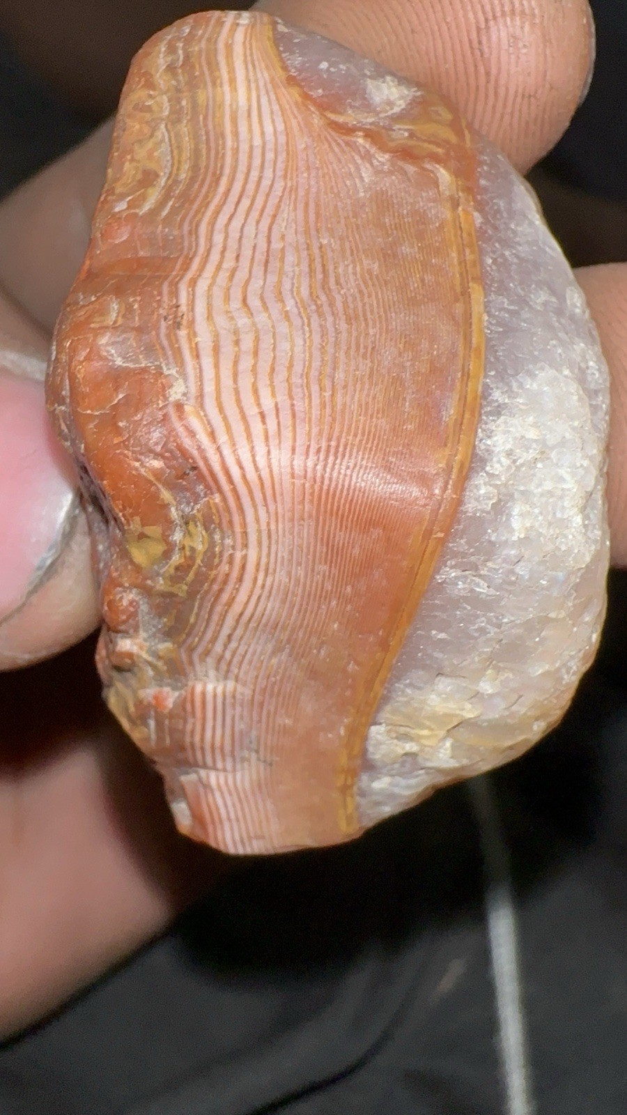Lake Superior Agate Separate Float Faces Incredible Bands And Amazing Eye Clean