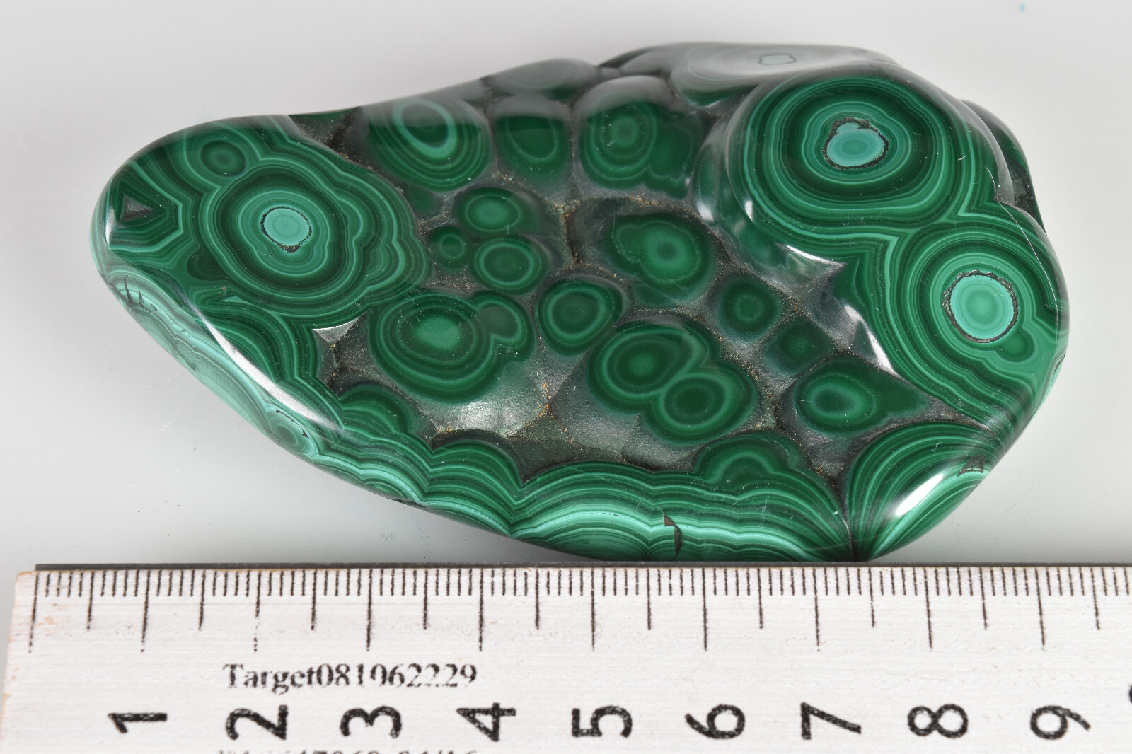 Polished Botryoidal Malachite from Congo 9.5 cm # 21104