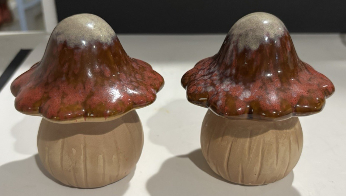 Drip glazed Ceramic Mushroom Figurine – set of two