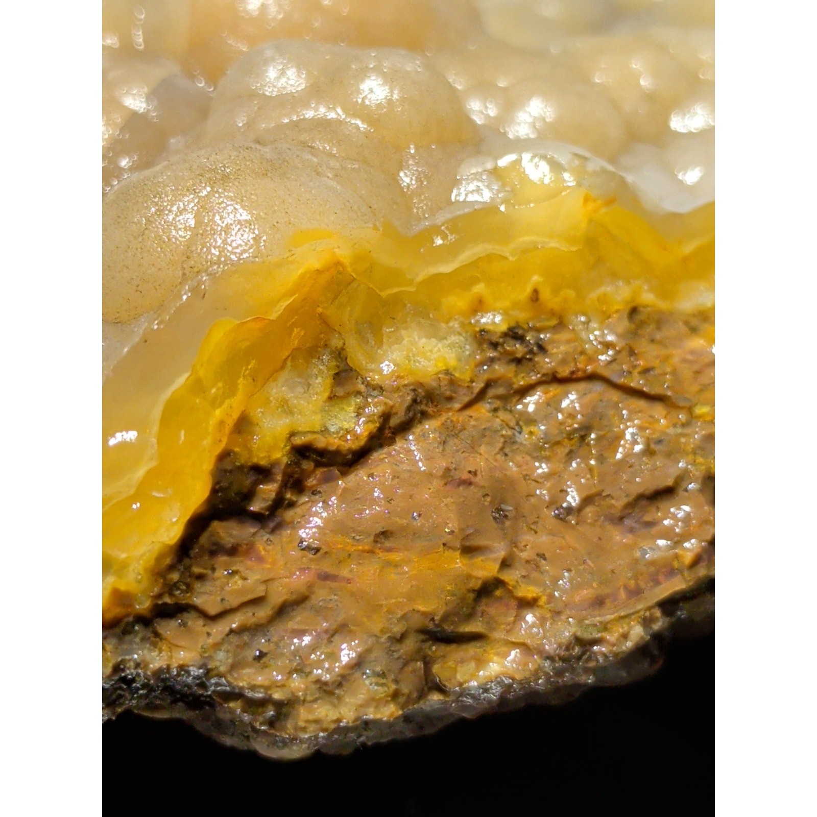 Thunder Egg Yellow Botryoidal Specimen Natural Form (1lb 10oz)