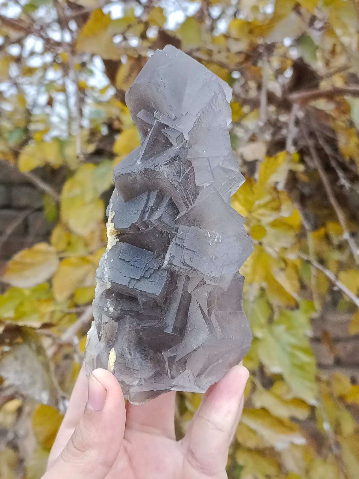 513g Natural Fluorite Gemstone Grey And White Color Vintage Specimen On Matrix