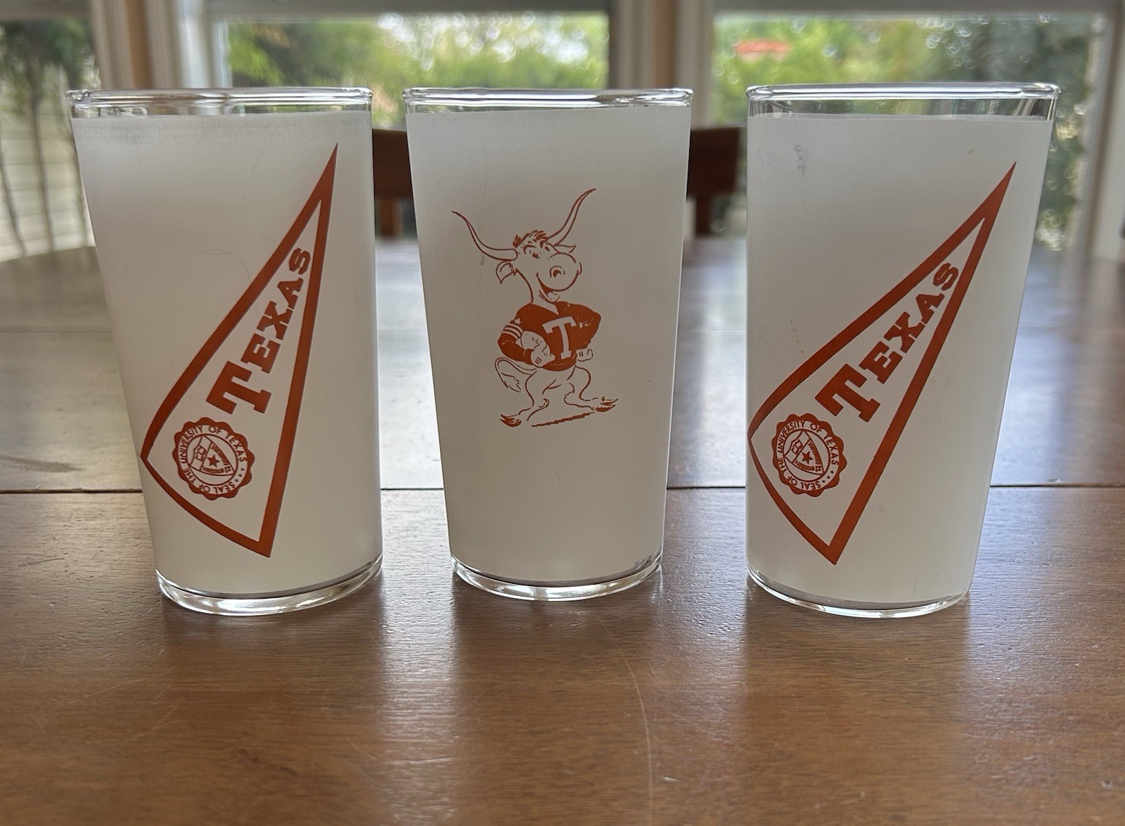 SET OF 3 VINTAGE TEXAS LONGHORN FROSTED GLASS JUICE TUMBLERS 5 INCHES TALL