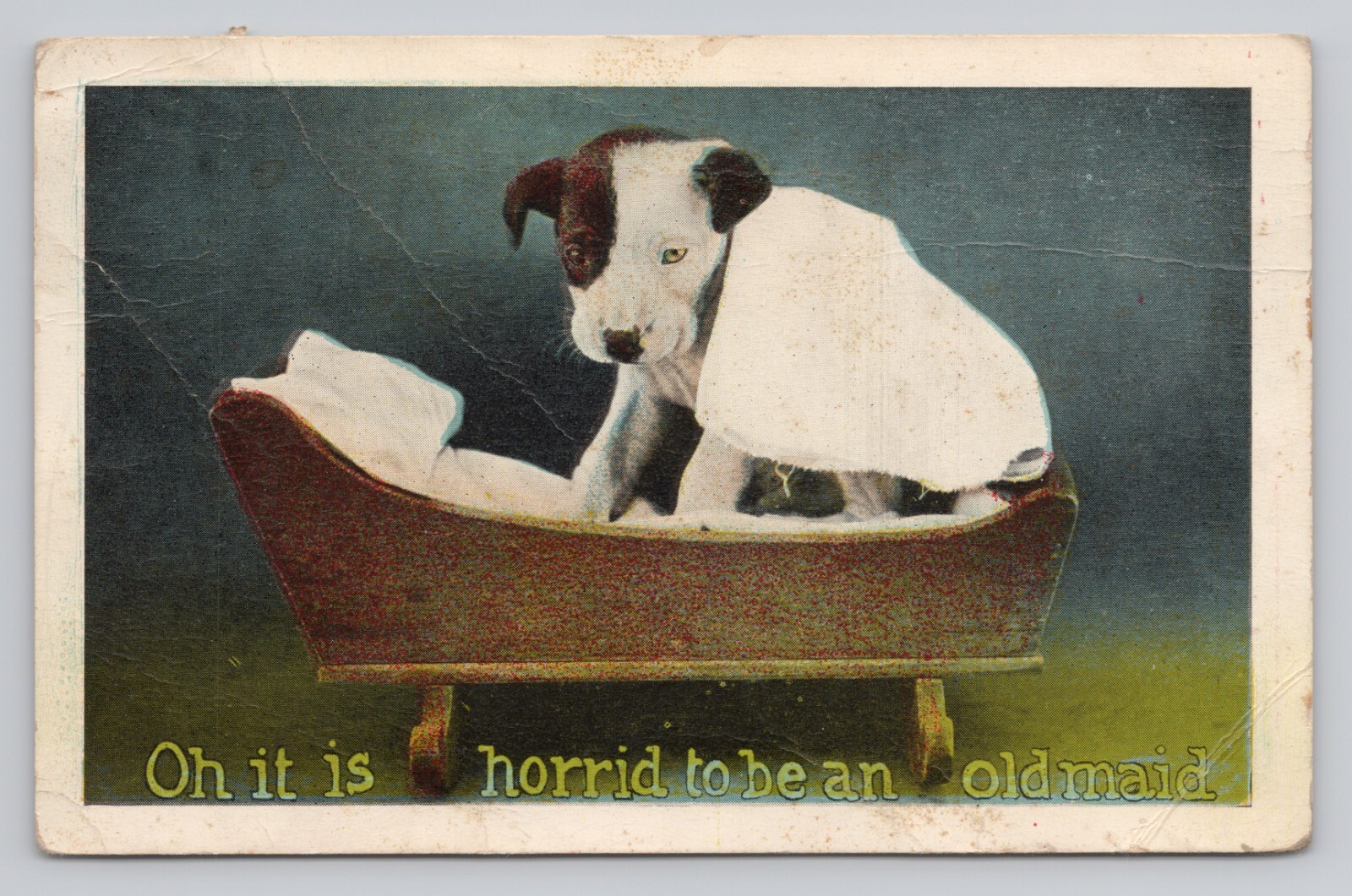 Oh it is Horrid to be an Old Maid Terrier Puppy Dog in Cradle Postcard DAMAGED