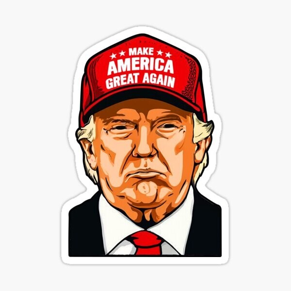 DONALD TRUMP 24 red maga hat USA president America