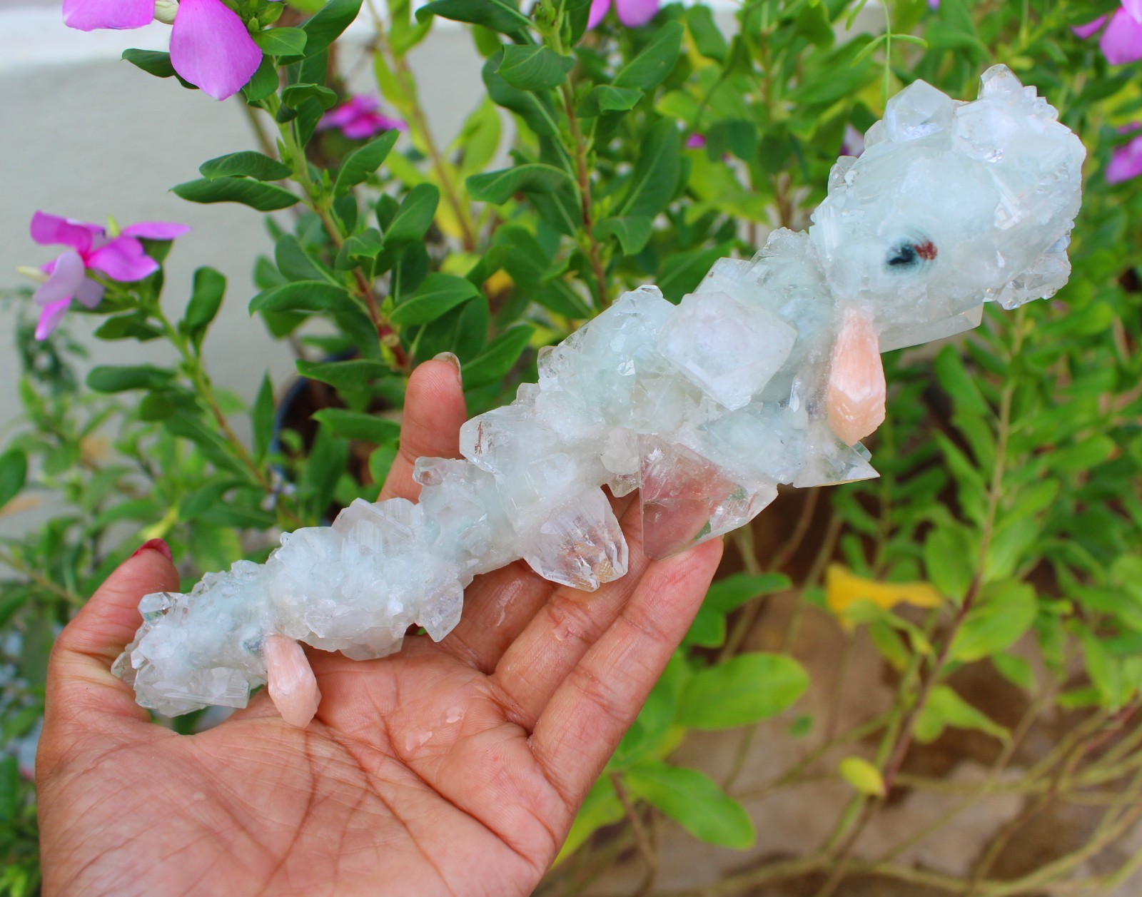 Apophyllite Crystals w/ Stilbite Stalactites Minerals Specimen ( 20X11 ) REPAIR