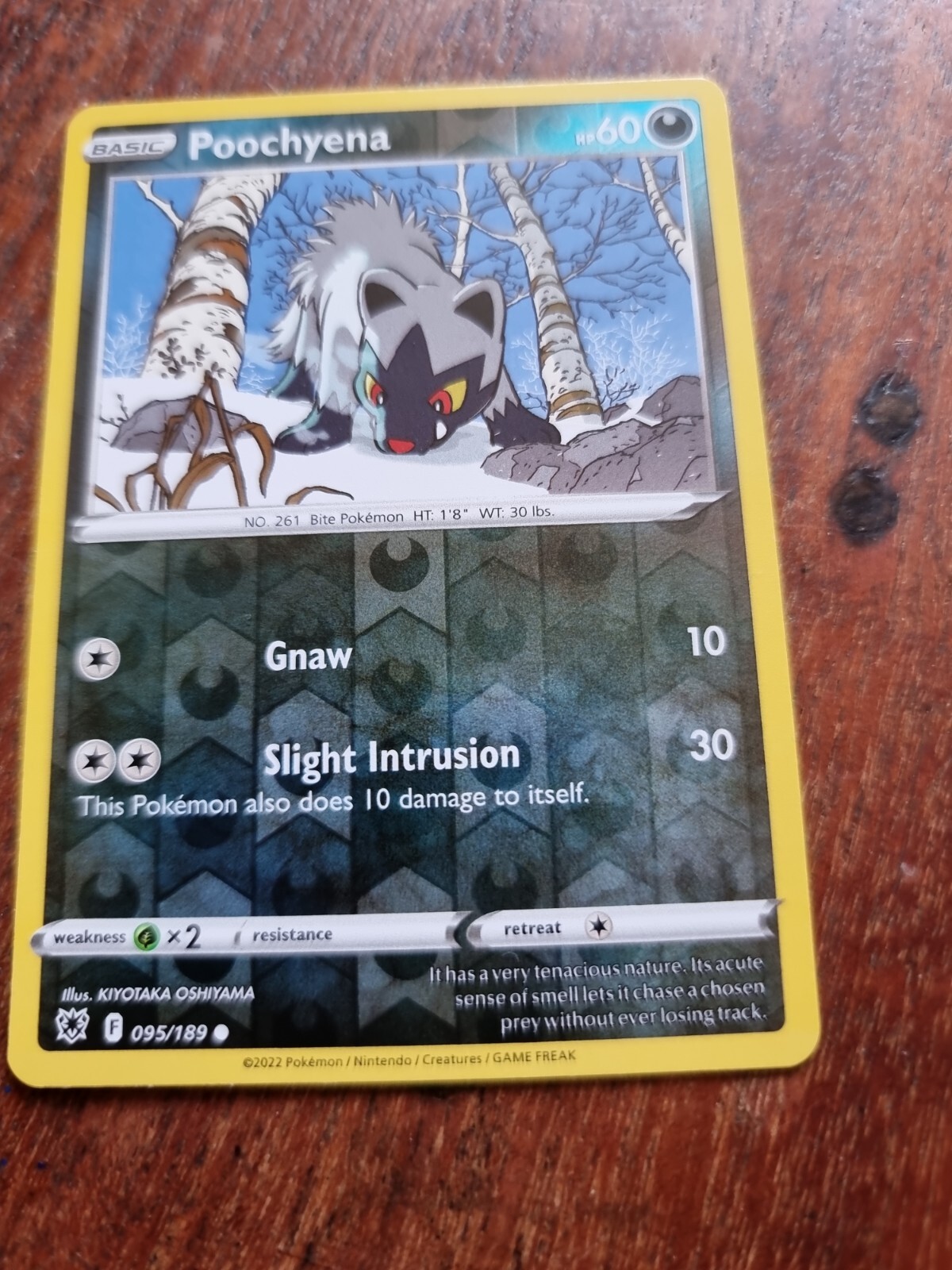 Pokemon Poochyena 095/189 Astral Radiance Reverse Holo Common