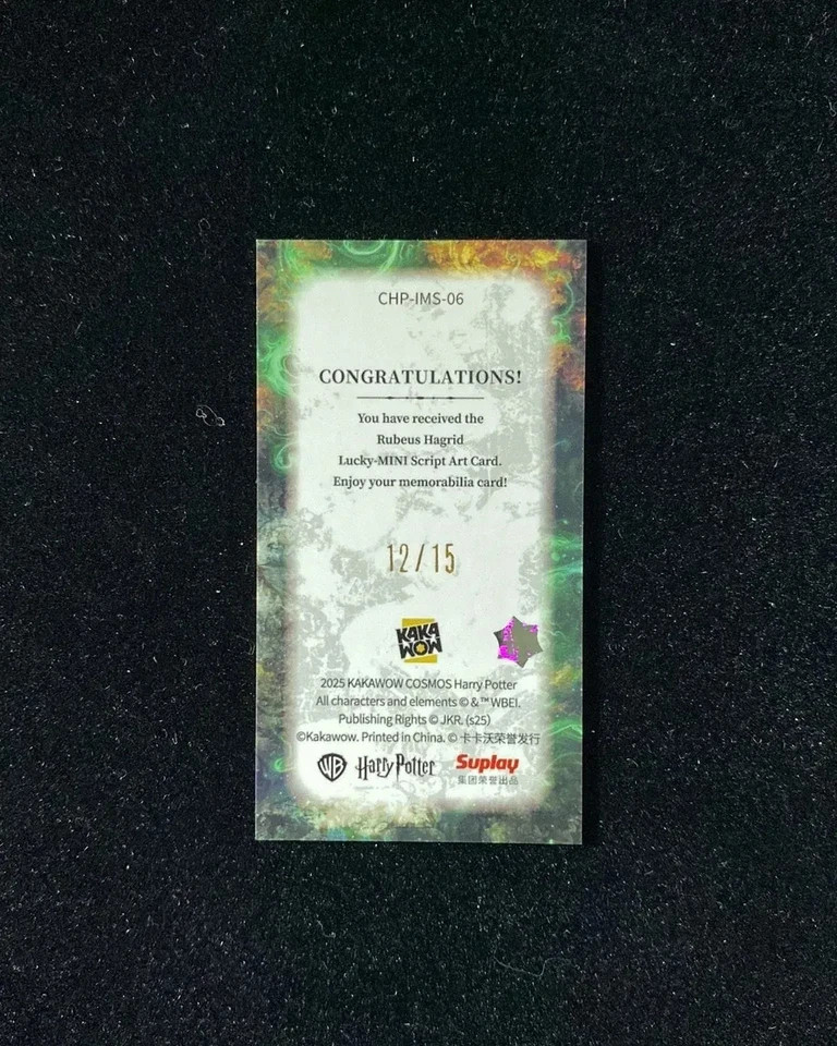 Harry Potter Rubeus Hagrid Mini Script Art /15 – 2025 Kakawow Cosmos CHP-IMS-06