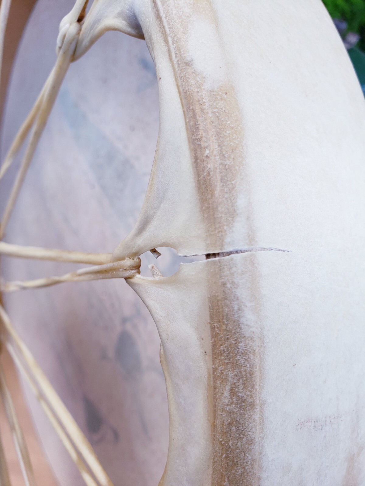 NATIVE Style Handcrafted Drum Decor.