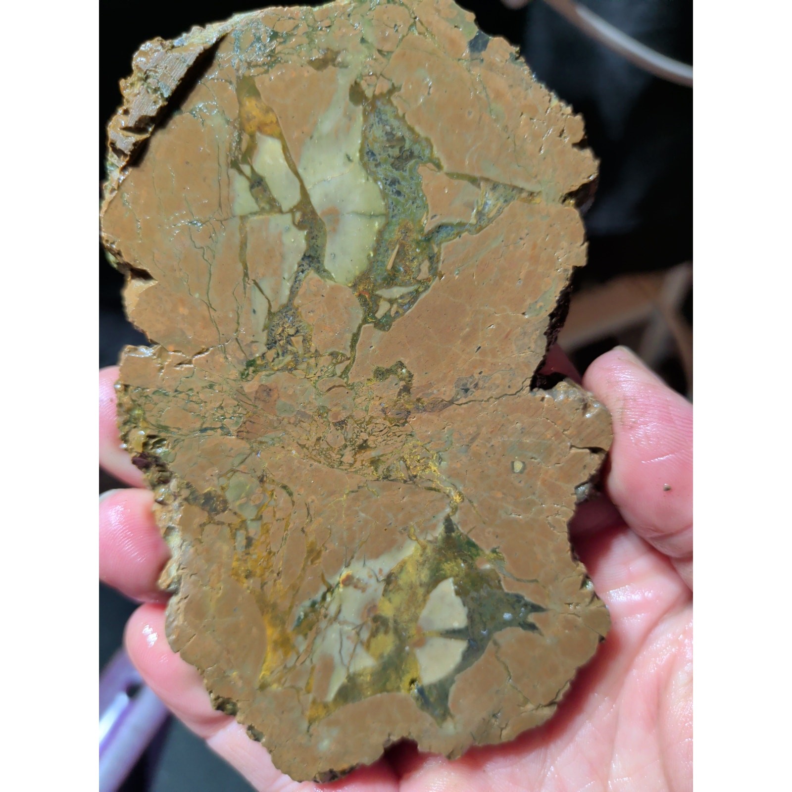 Thunder Egg Slab Specimen (4.7oz)