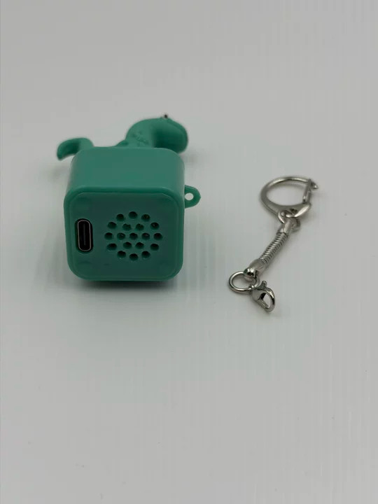 Lizard Button Keychain Sound Fidget Toy, Fun Keychain with Light Stress Relief