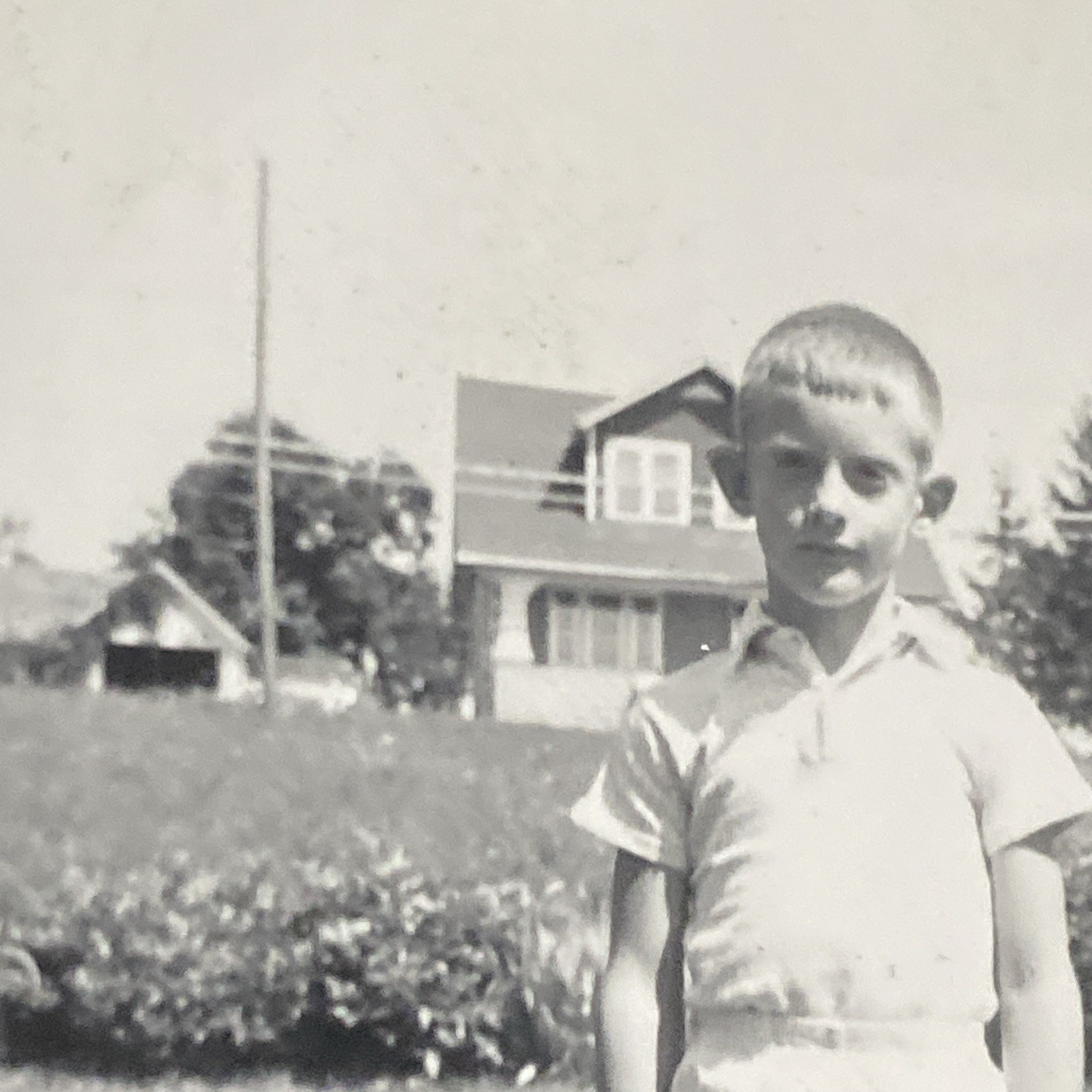 1963 Young Boy & Black Labrador Retriever Dog Flower Homes Original Photo P18m13