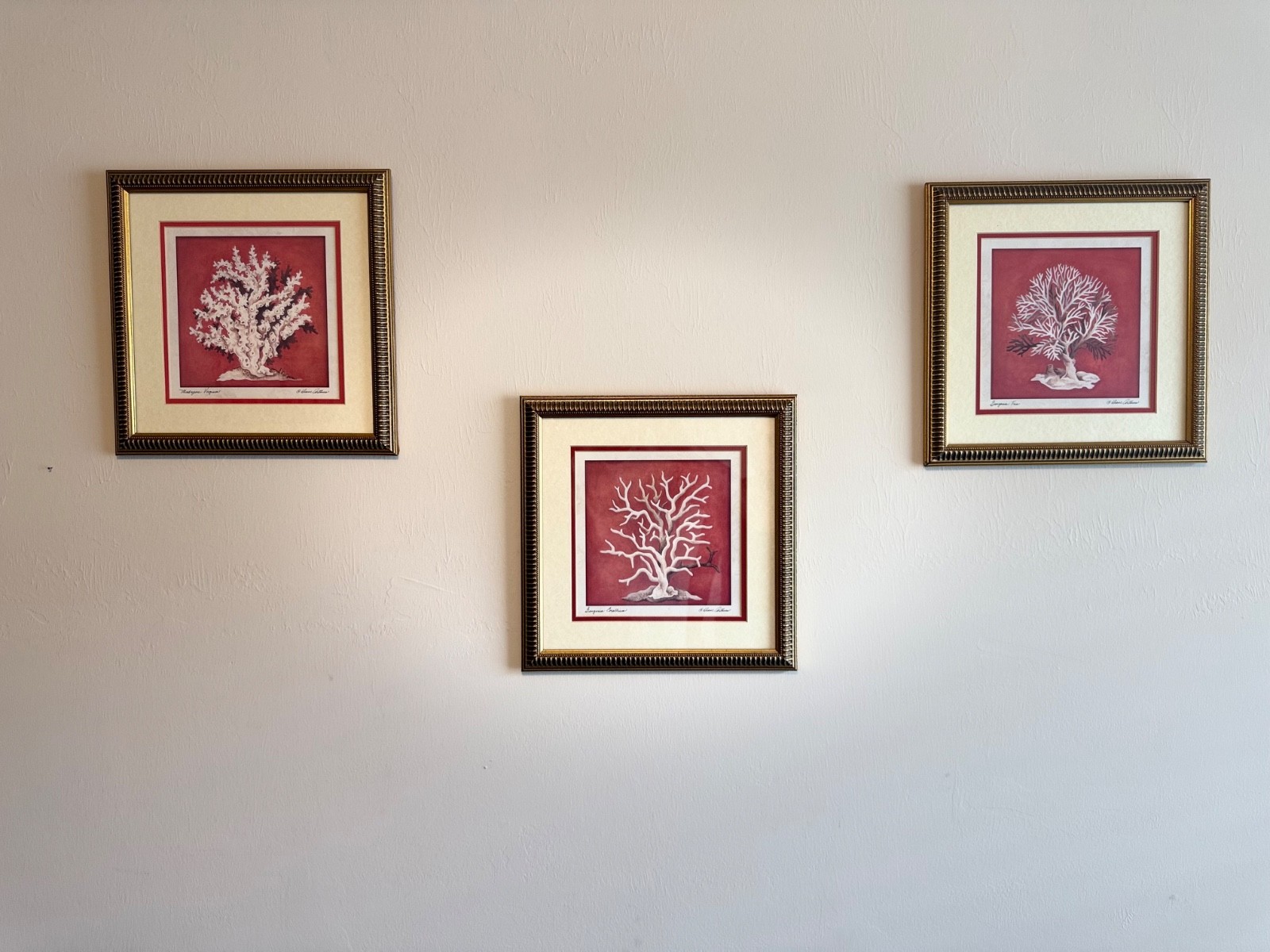 Wall Decor – Red Coral with Gold Frame Pictures – 3 set- 12×12