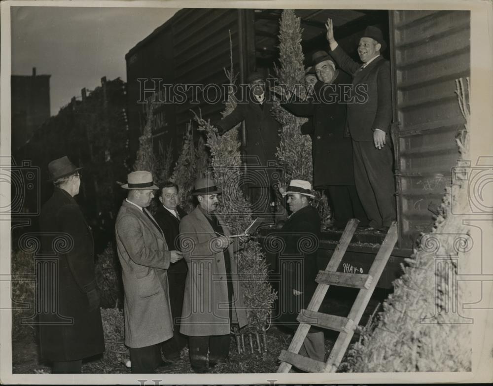 1936 Press Photo New York Dealers bidding to wholesalers for lots of trees NYC