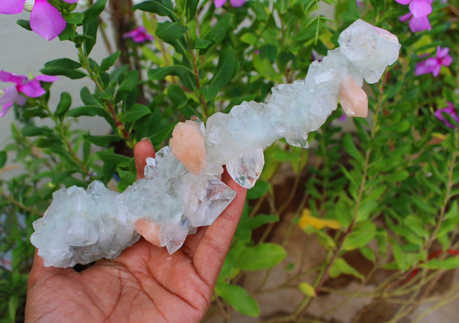 Apophyllite Crystals w/ Stilbite Stalactites Minerals Specimen ( 20X11 ) REPAIR
