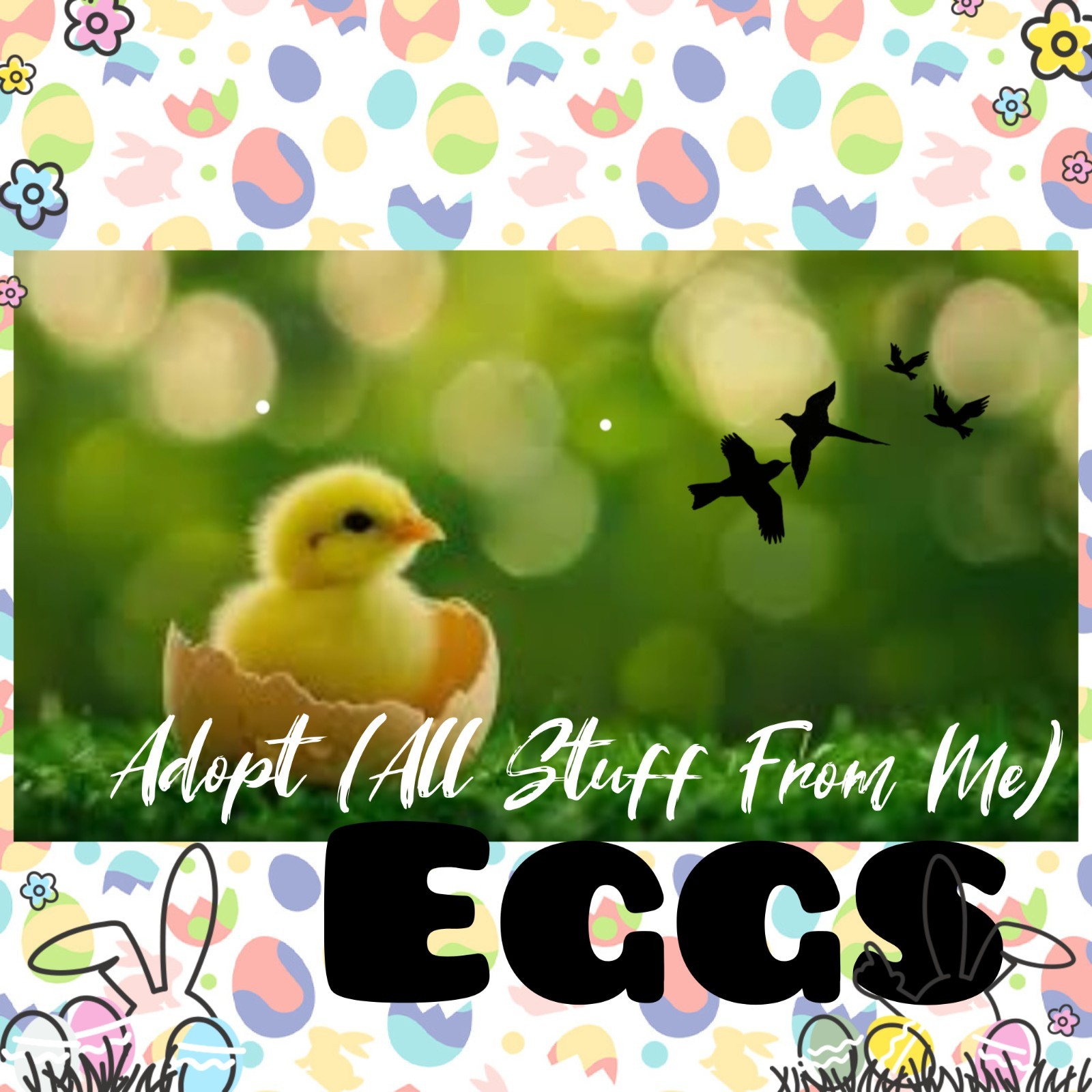 🌺 Adopt (All Stuff FRM M3) Today! 🌺 Cheap & Old 💰 Eggs 🥚