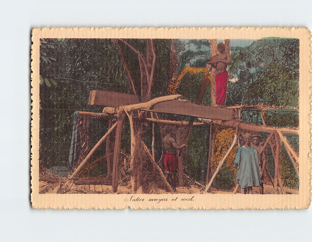 Postcard Native Sawyers at Work