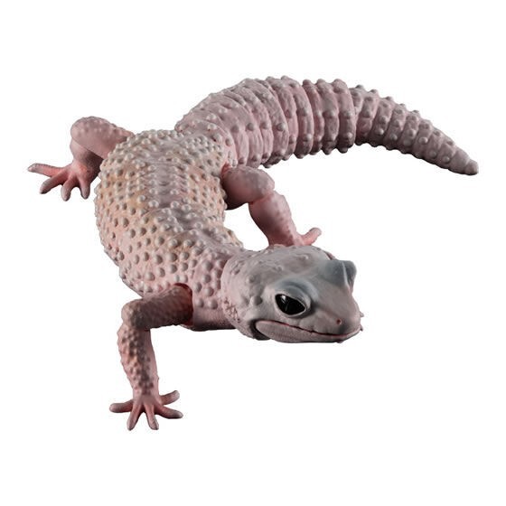 Bandai Gashapon Leopard Gecko Action Figure ADVANCE Blizzard 165mm 2021 Japan
