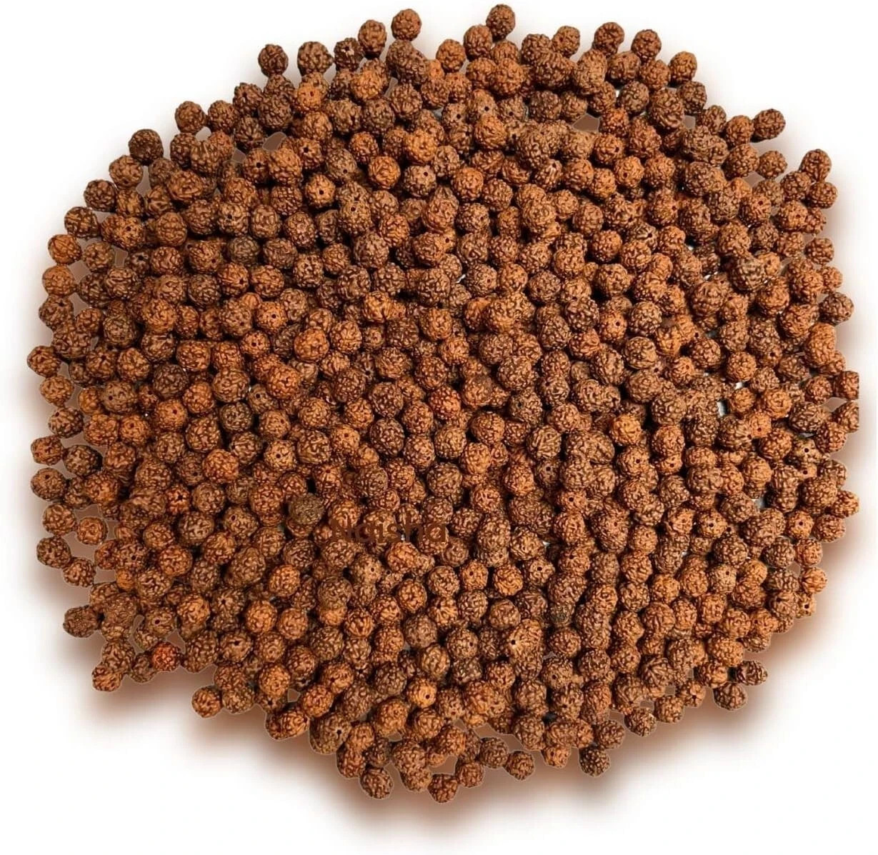 251 pc Loose Rudraksha Seeds Beads Nepal Origin, Natural 5 Mukhi 8 mm, Free Ship