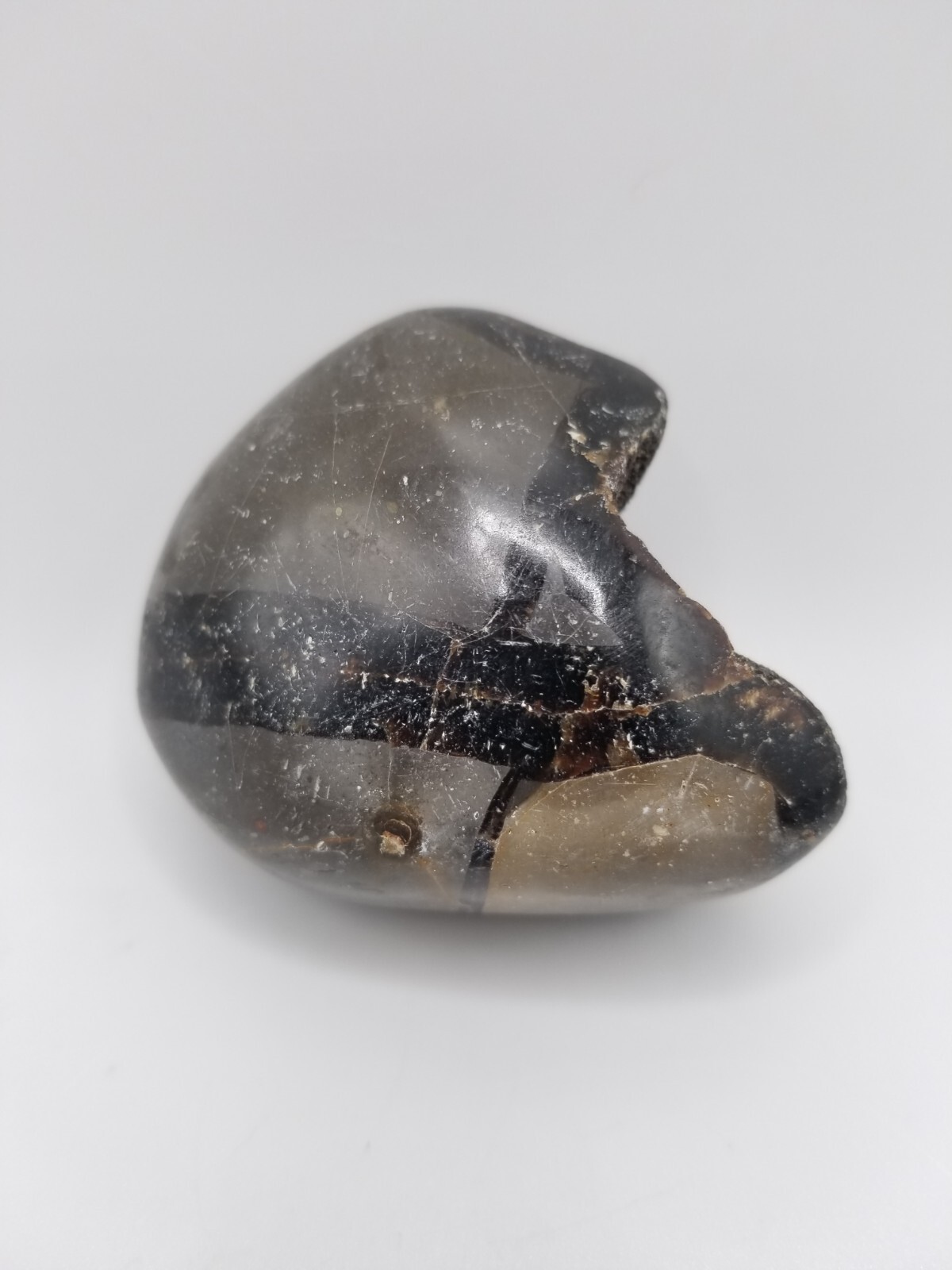 Septarian Egg Geode Nodule – 4.6 Oz Palm Stone Mini