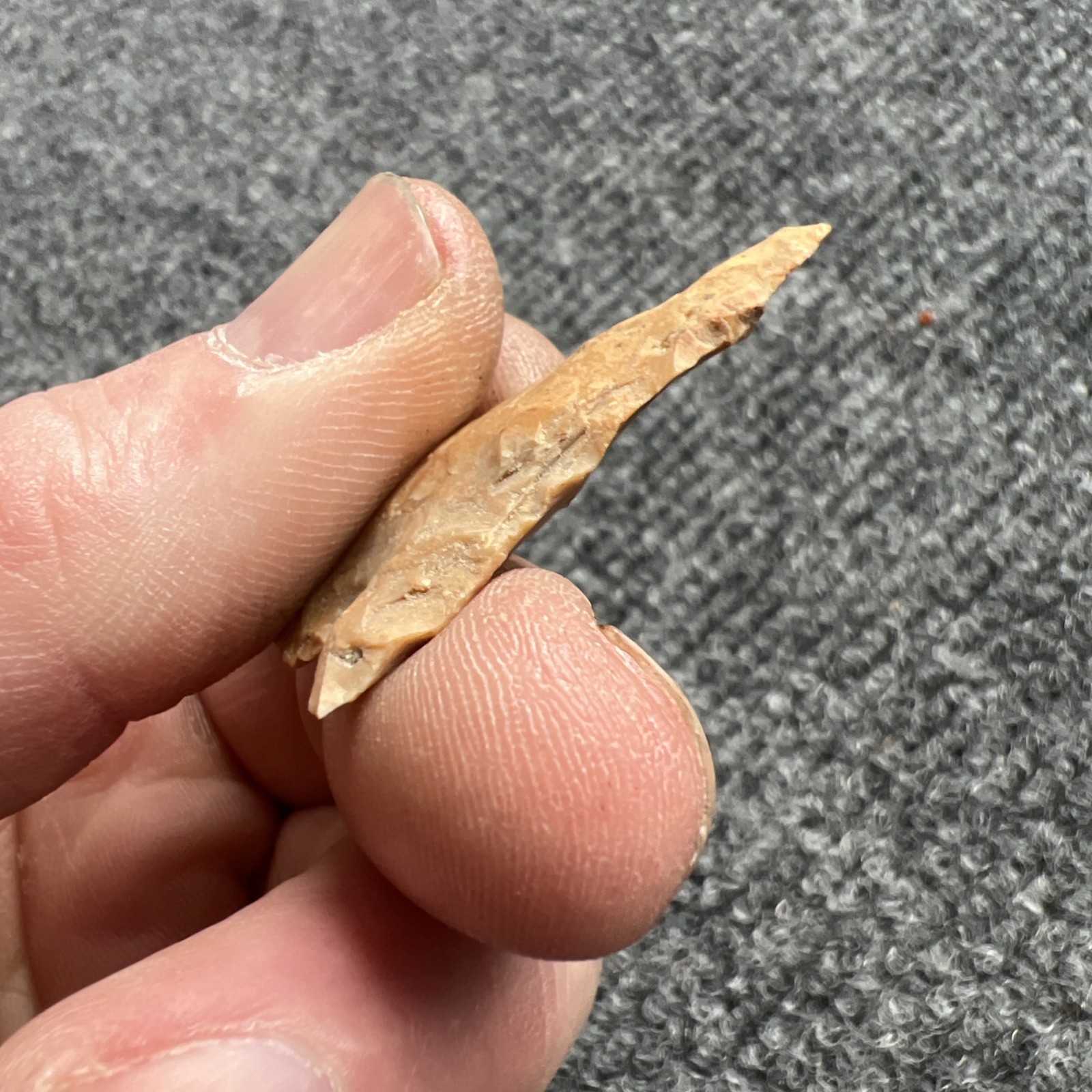 Indian Arrowhead Found By Jeff Thompson 1968-2003 In Polk Co Florida @1603
