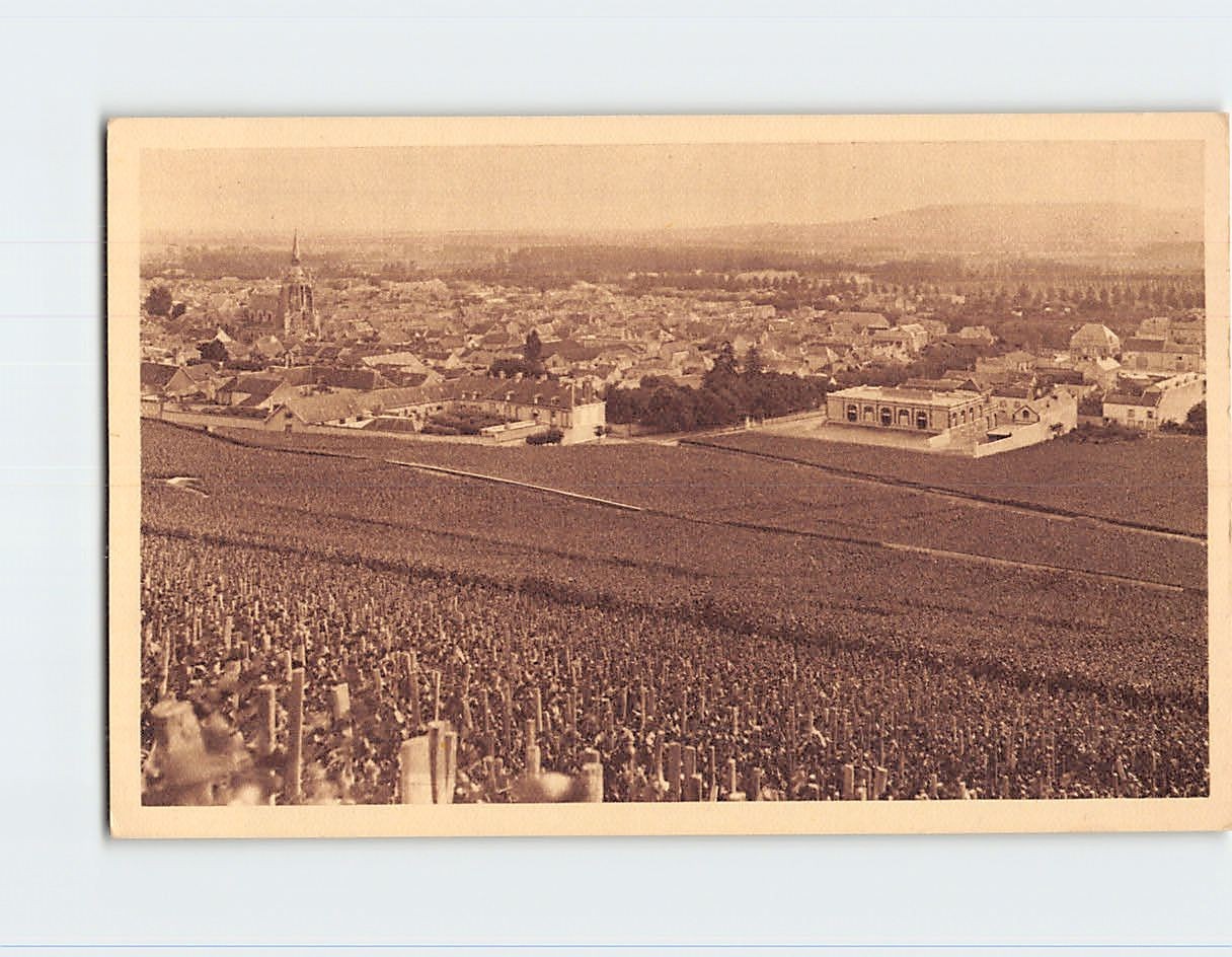 Postcard The Vineyard Premier Cru of Black Grapes