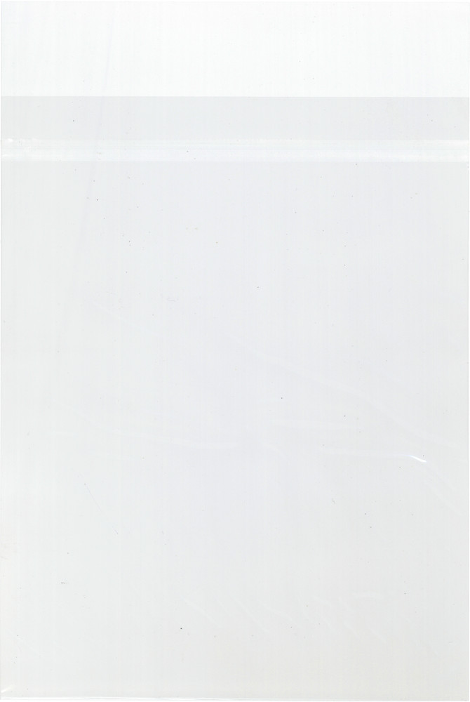 (25) Treasury Comic Book Sleeves Clear 2mil Archival RESEALABLE FLAP #CXSBTRS