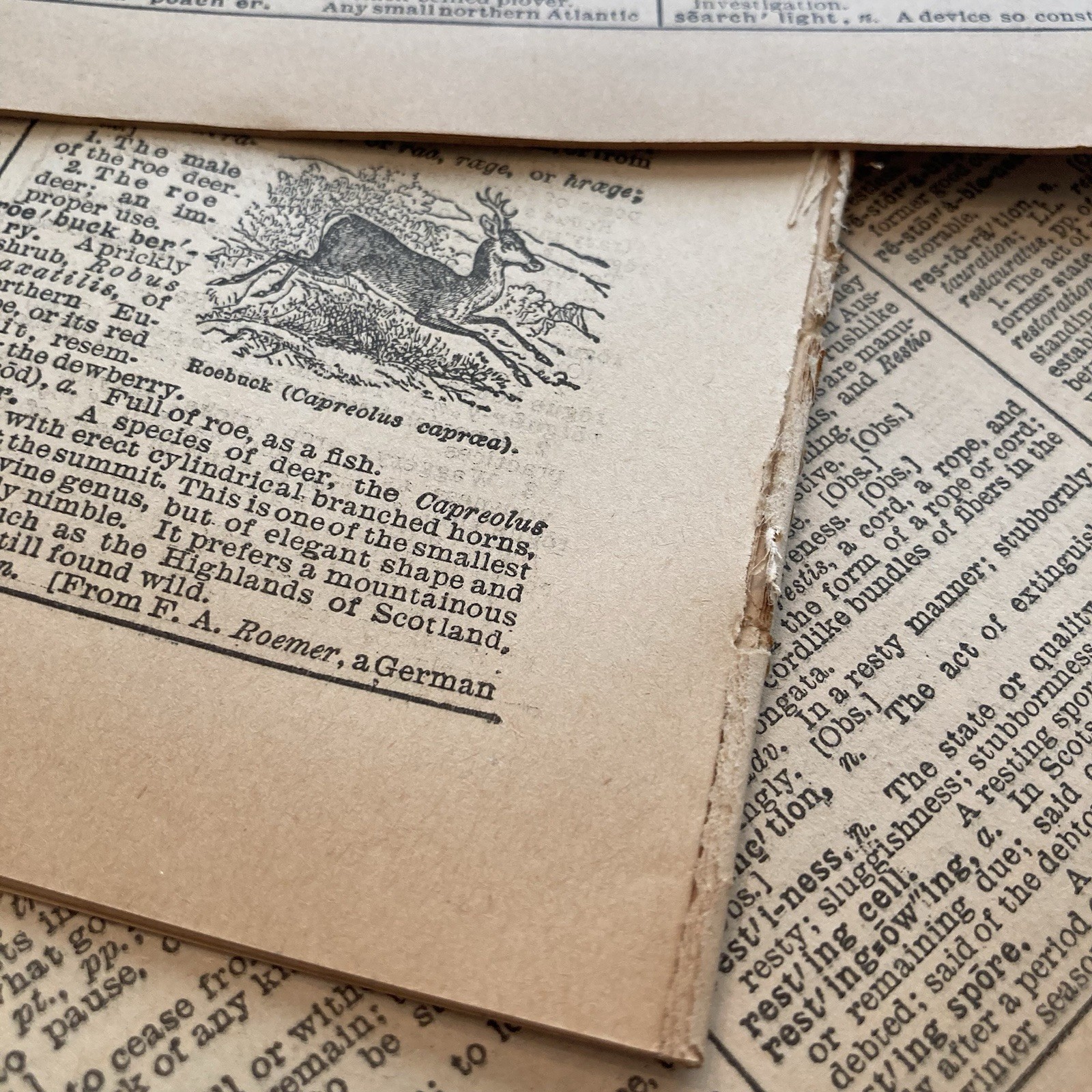 Old Dictionary Loose Pages 100 Full Size Webster’s 1947 Paper Ephemera