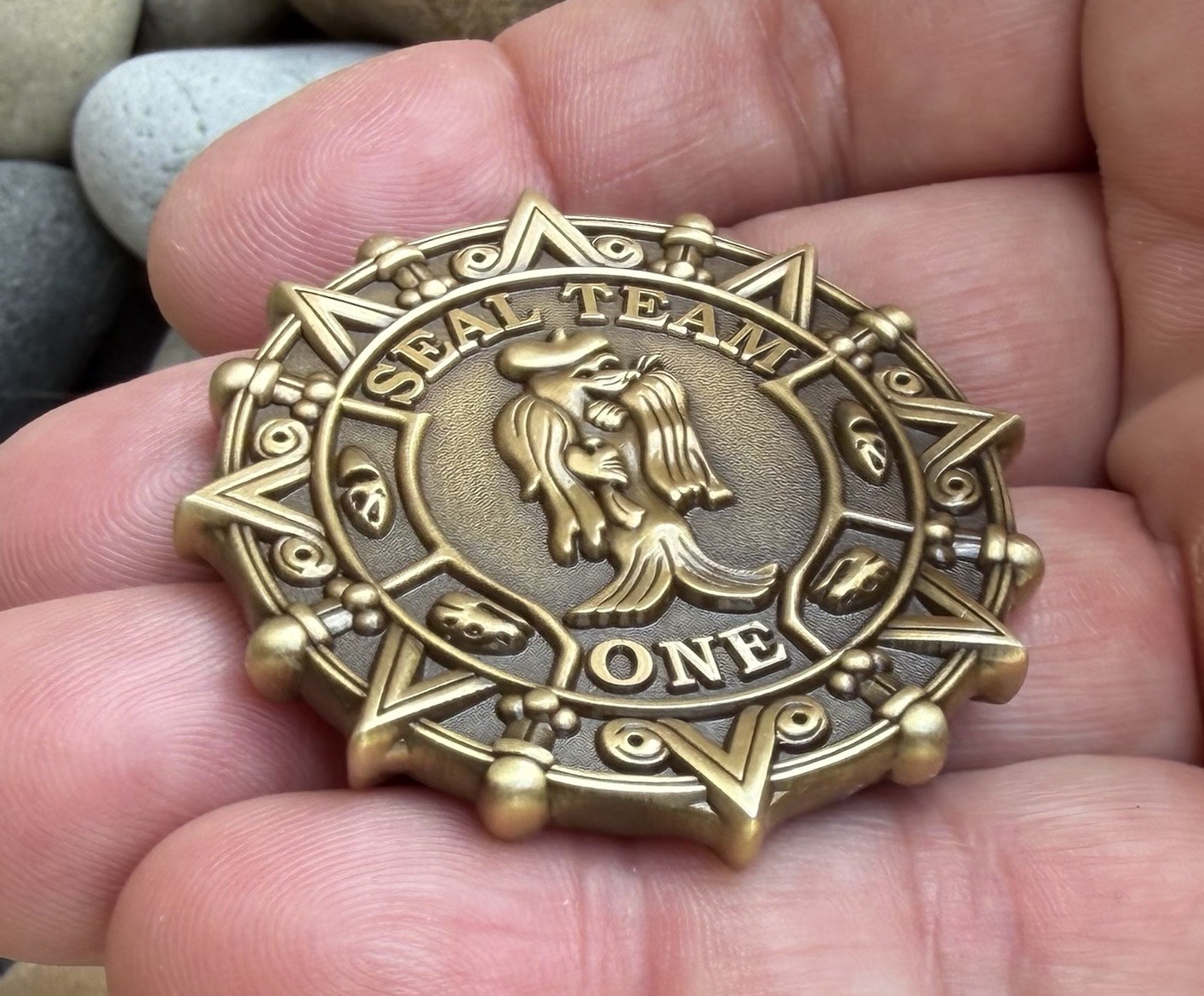 Navy Seal Team 1 One Naval Special Warfare Troop Challenge Coin Skull Seals CP !
