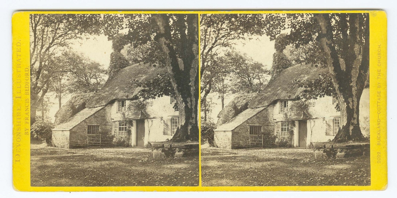 D1655~ ENGLAND–DEVON Buckland Cottage c.1860s Stereoview – F. Bedford