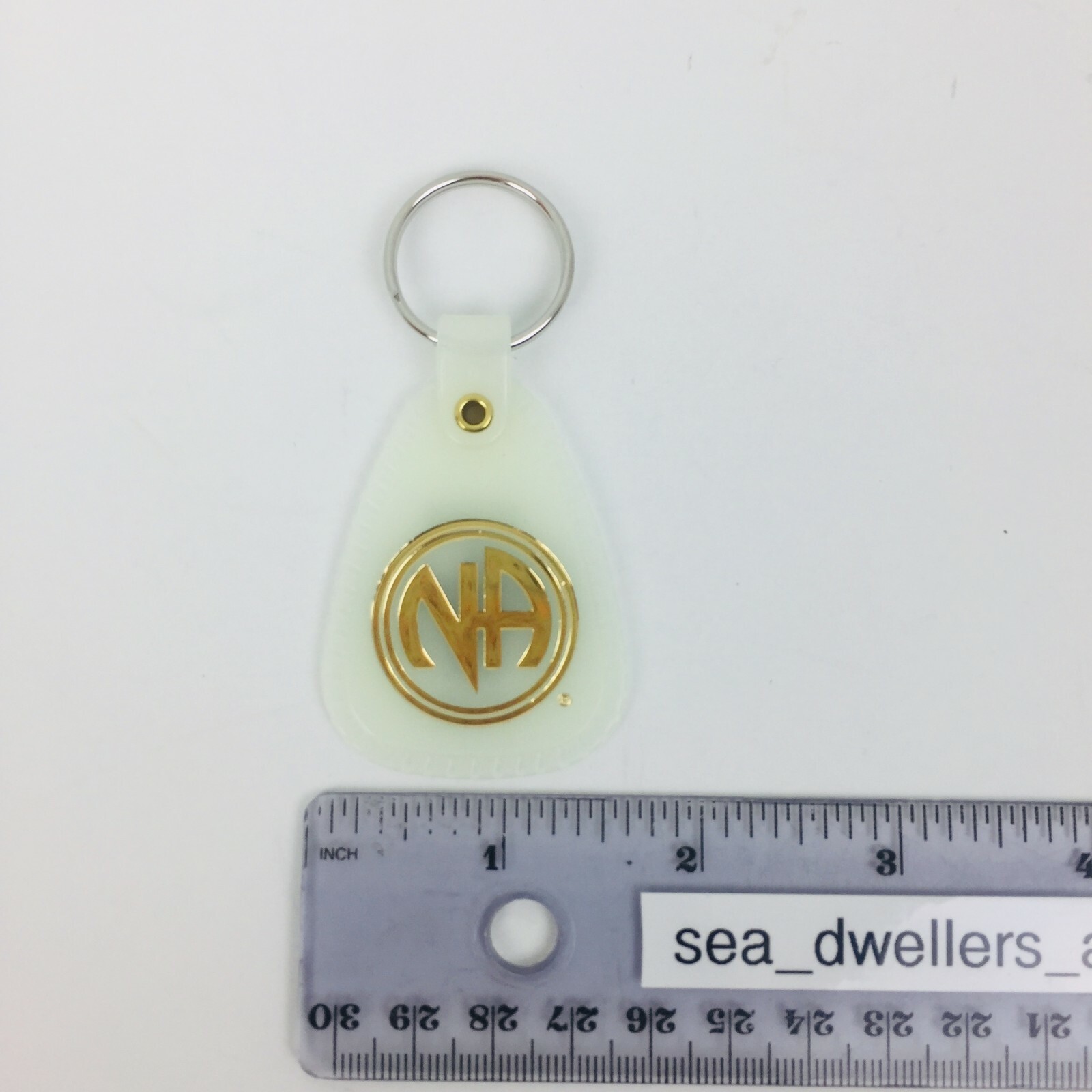 NARCOTICS ANONYMOUS NA KEY TAG MOONGLOW 1 Year Recovery 12 Piece English