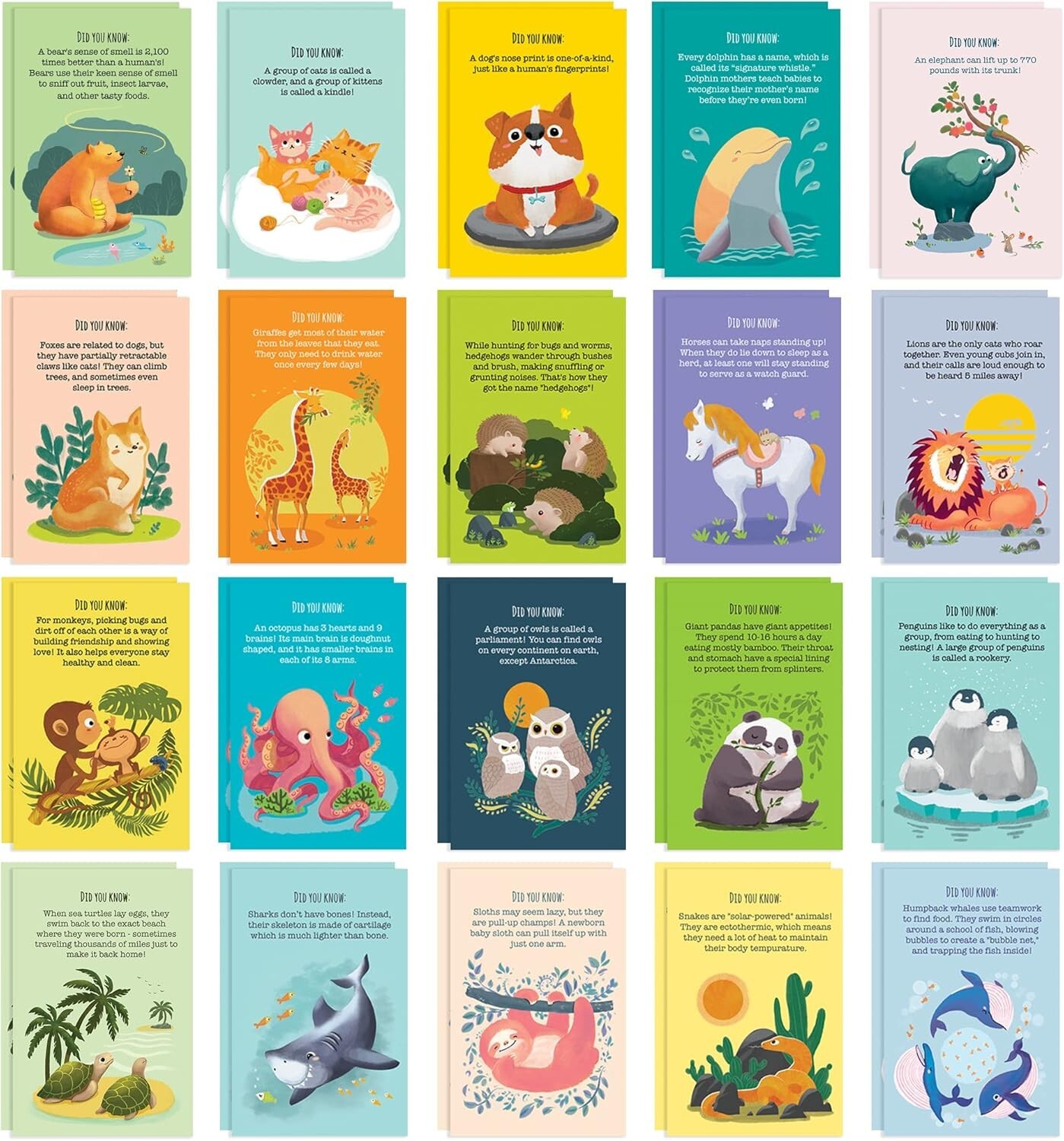 120 Assorted Bulk Postcards with Cute Animals and Funny Puns for All Occasions