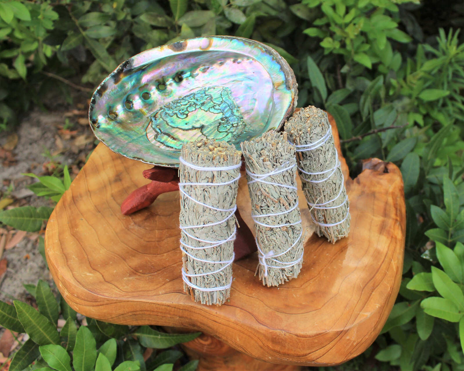 Smudge Kit Large Abalone Shell Wooden Stand & 3 x 4″ Blue Sage Smudge Bundles
