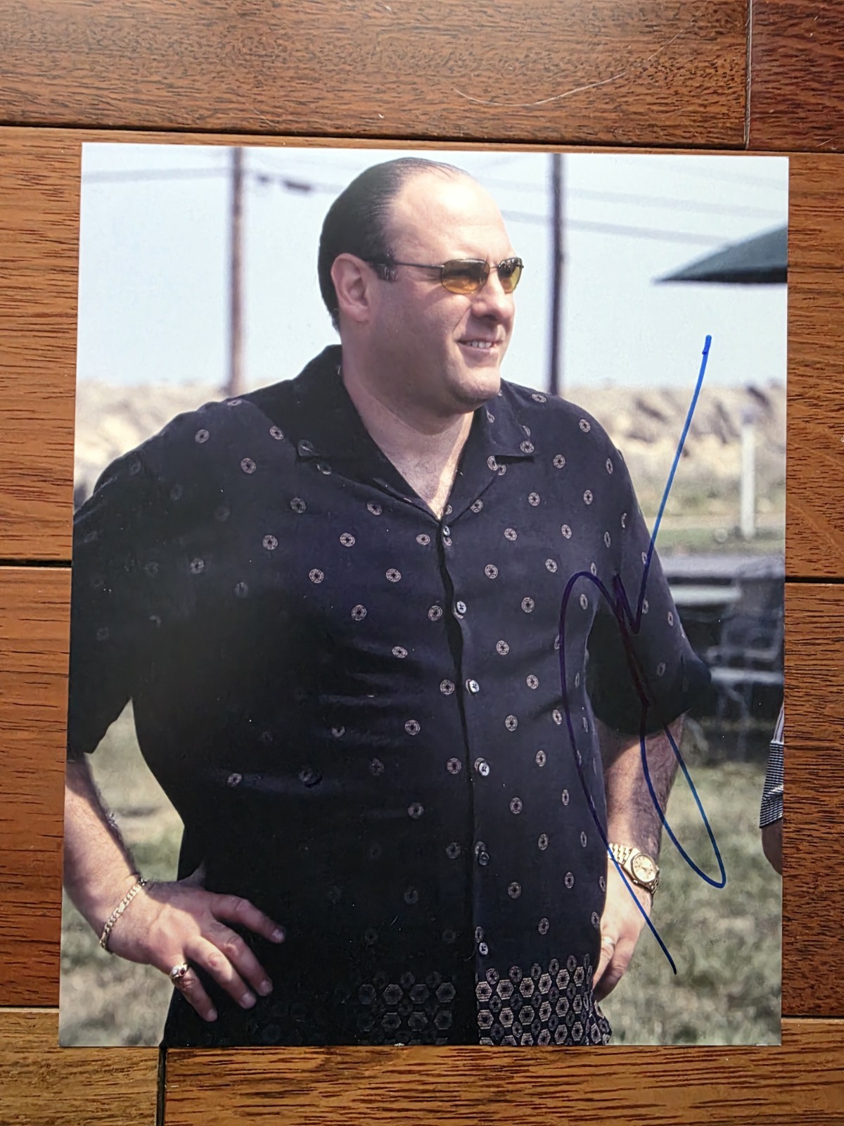 JAMES GANDOLFINI SIGNED AUTOGRAPHED PHOTO THE SOPRANOS JSA COA JAMES SPENCE