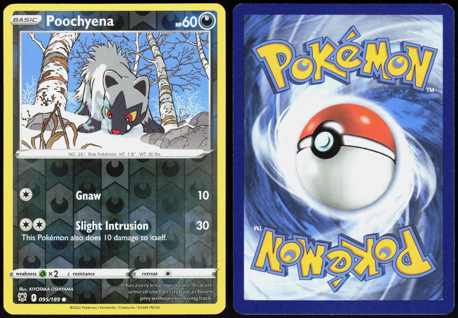 Poochyena 095/189 Reverse Holo Astral Radiance Common OSHIYAMA Lightly Played