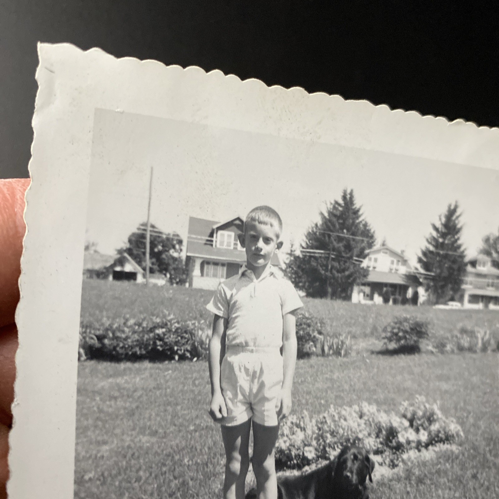 1963 Young Boy & Black Labrador Retriever Dog Flower Homes Original Photo P18m13