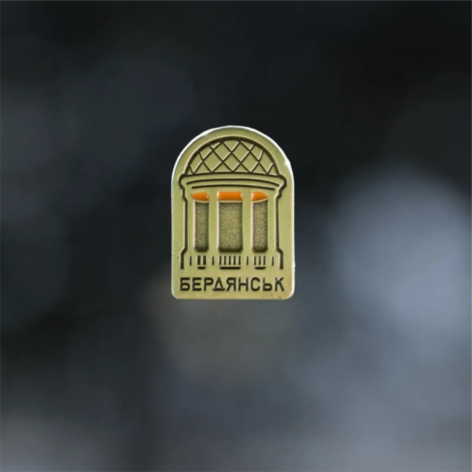 Ukraine – Бердянськ. Original Pins and Badges