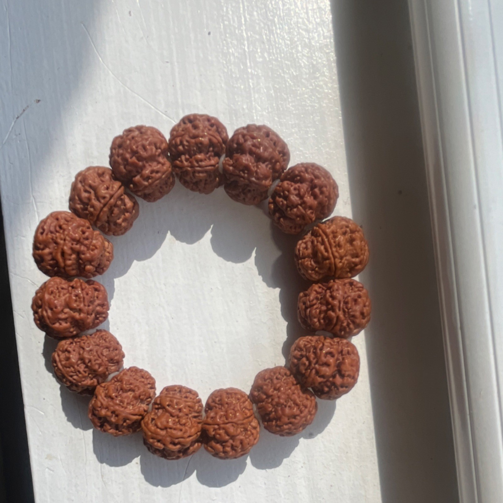 Rudraksha 21mm 金刚菩提子 雪花扇面老树籽 深度清理，