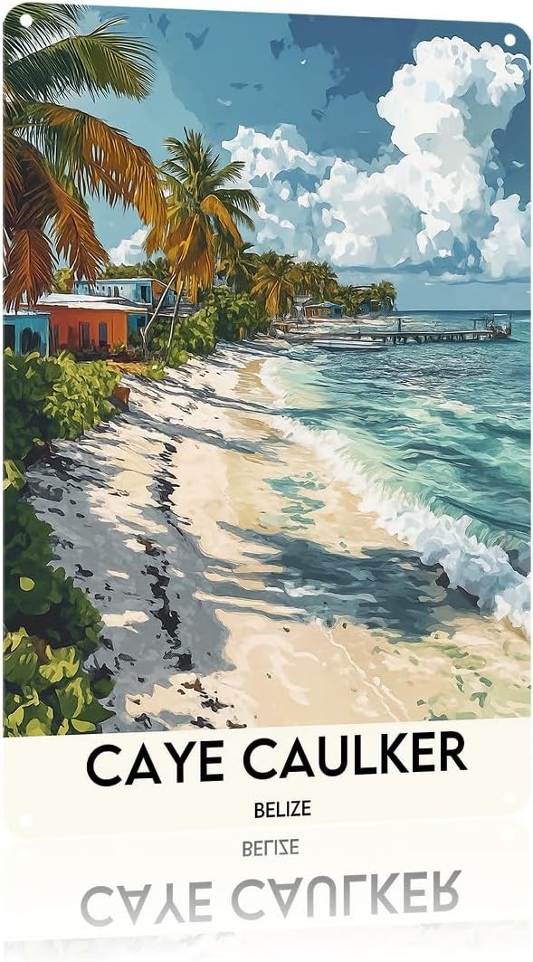 Caye Caulker, Belize Wall Art Tin Metal Signs Home Décor Posters The Space You C