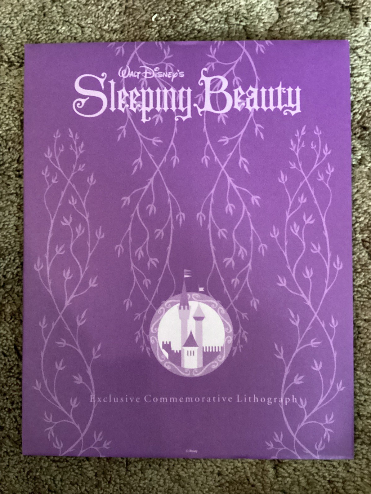 Disney Sleeping Beauty Exclusive Commemorative Lithograph Collectible Art Print