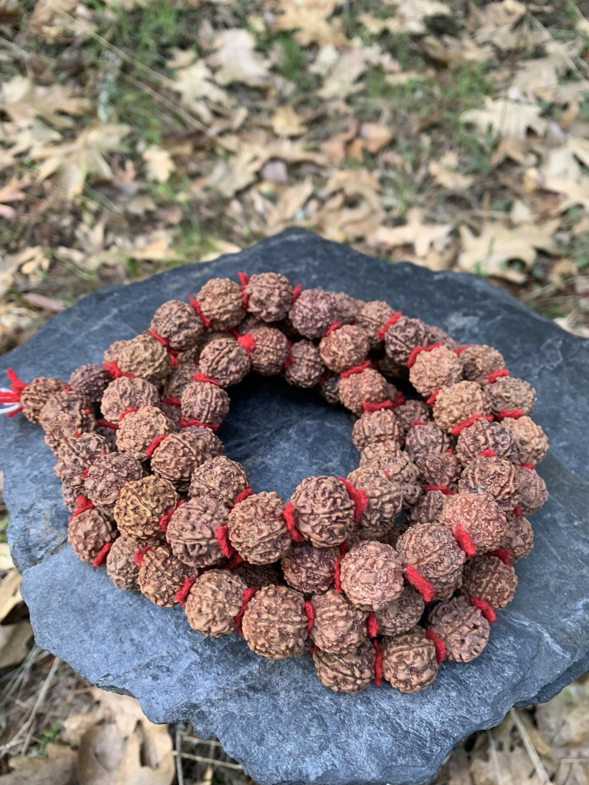 Himalaya Dark Rudraksha Shiva Japa Mala 108 Seeds XL Size Handmade in Nepal
