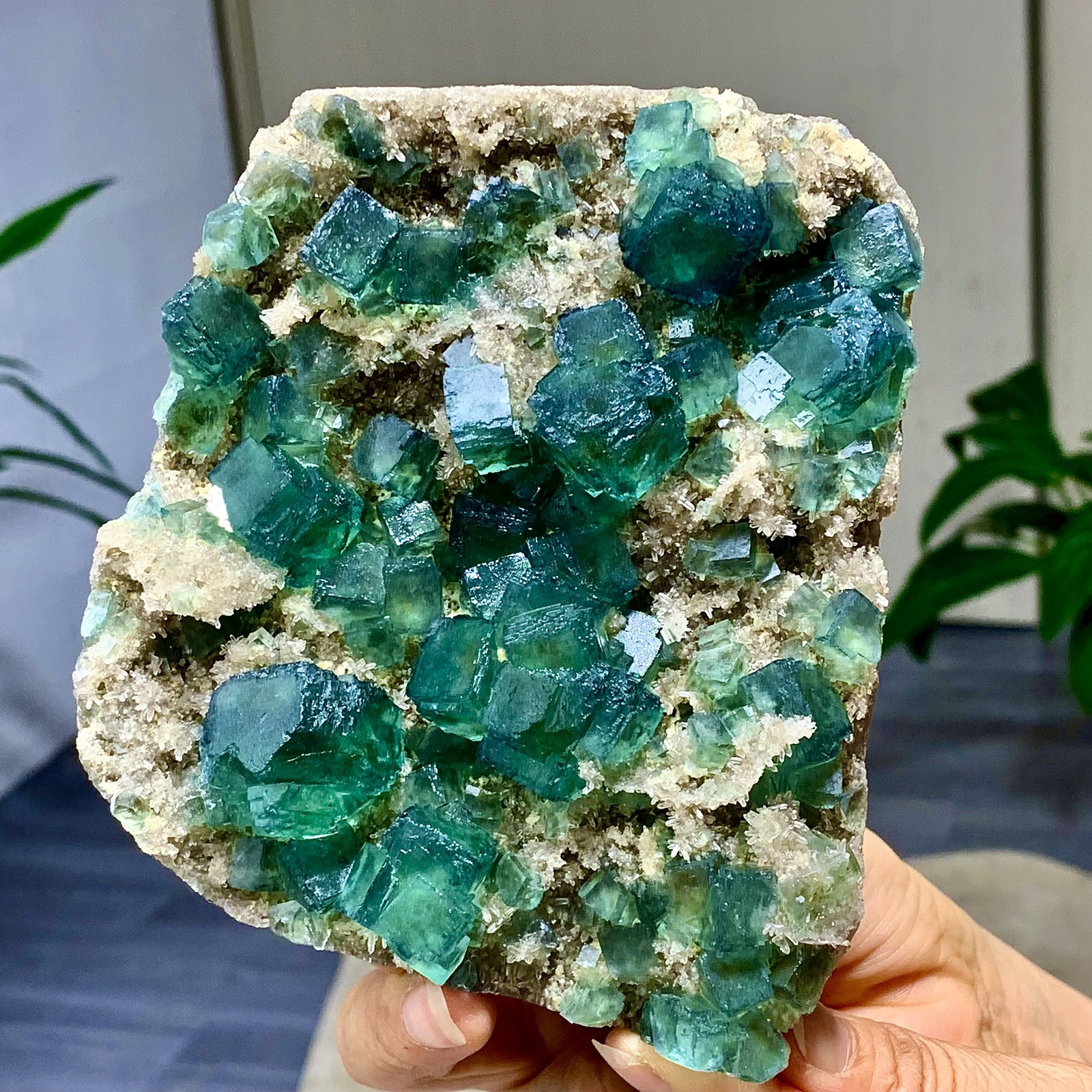 1.44LB Rare transparent green cubic fluorite mineral crystal sample/China