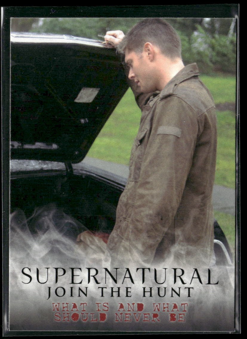 2014 Cryptozoic Supernatural Seasons 1-3 #47 What Is and What Should Never Be
