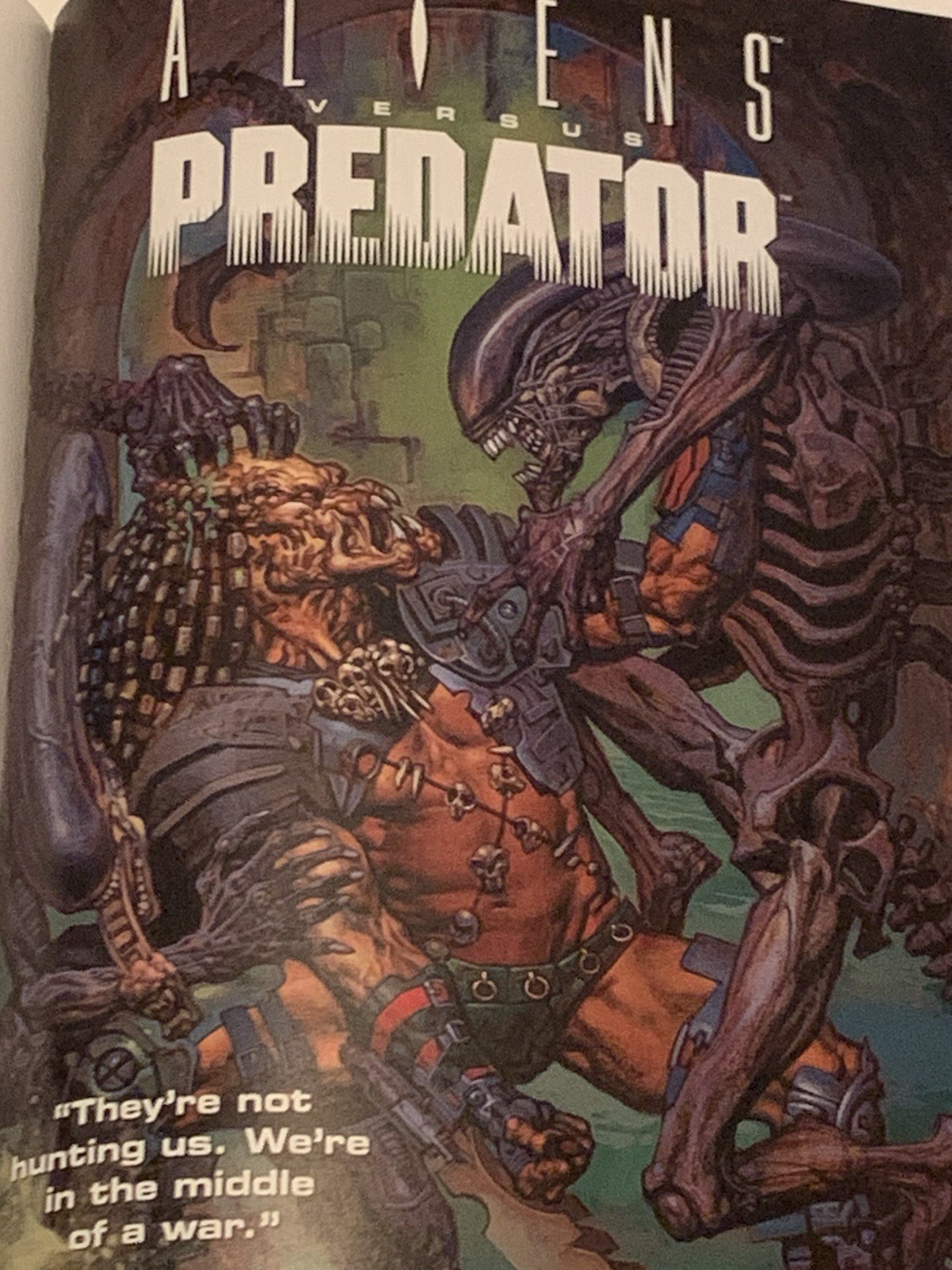 Aliens Predator Panel To Panel Comic (Paperback)