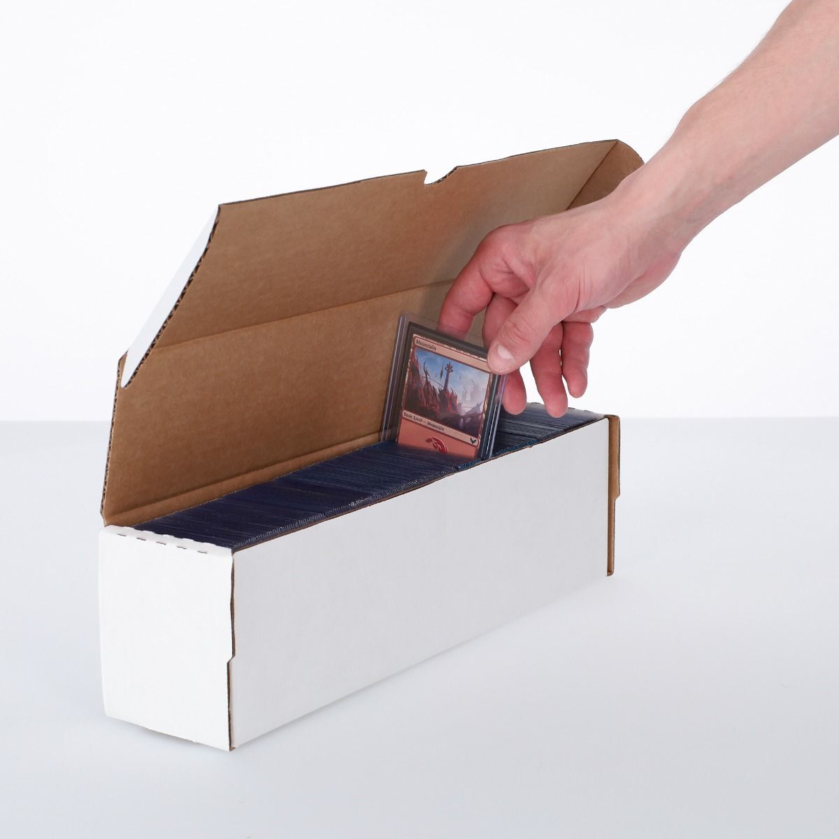 1 BCW 14″ Toploader Storage Box