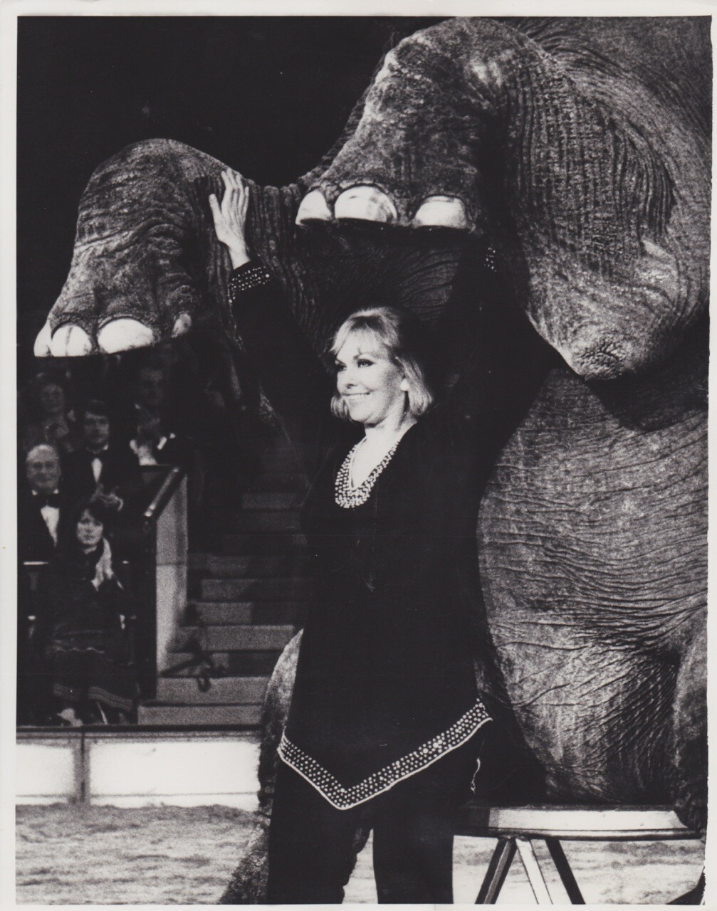 1976 Vintage Press Photograh – KIM NOVACK – Munich, Germany