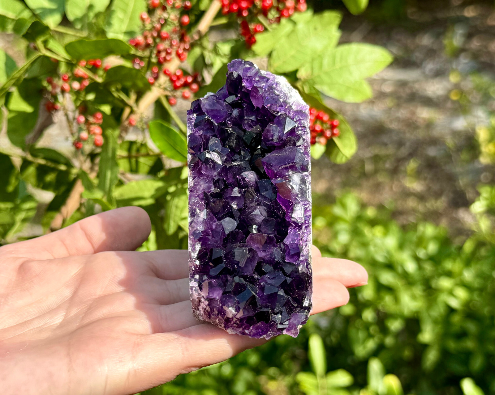 Amethyst Druze Crystal Cluster Cut Base Natural Goede Specimen: You Choose Size!