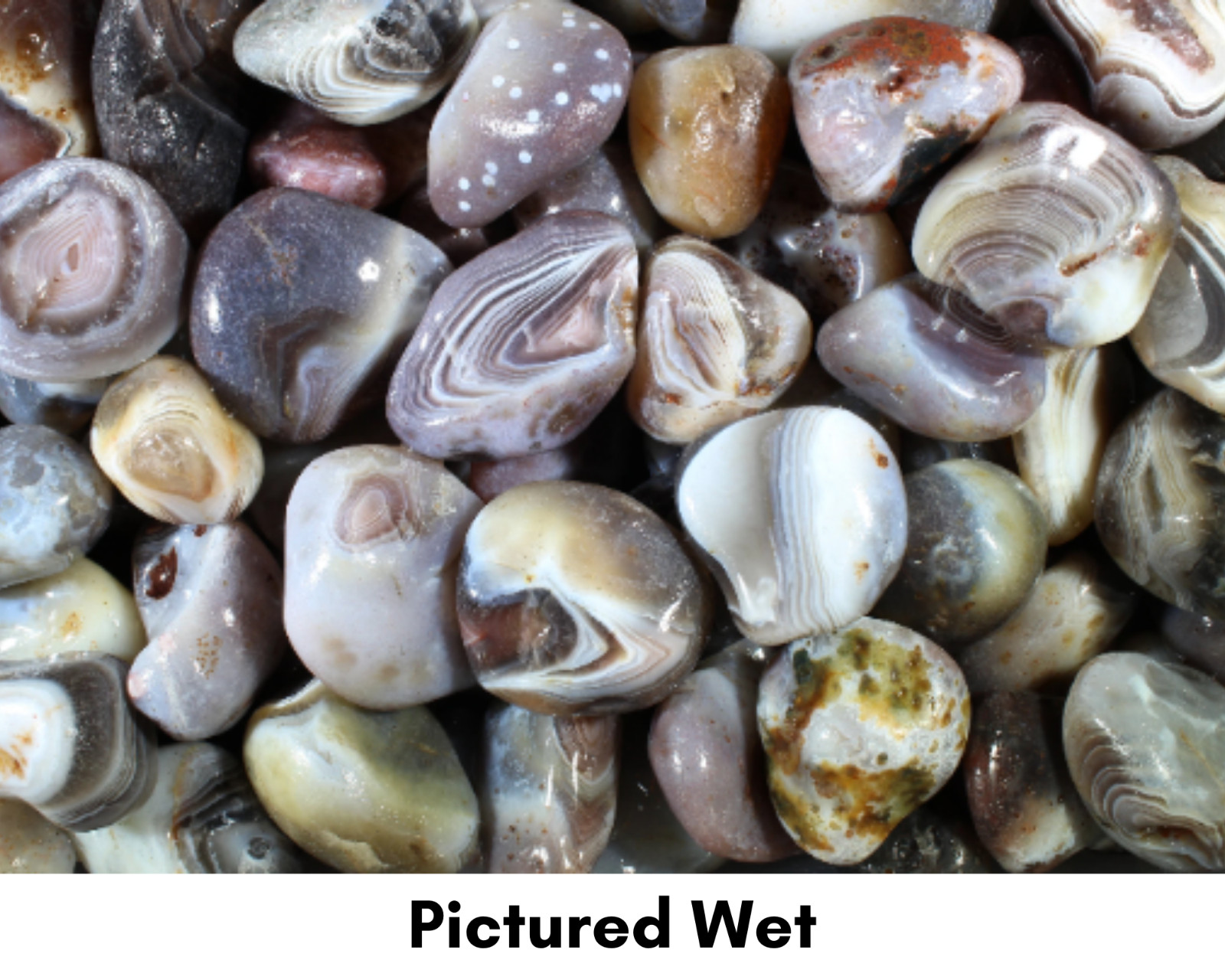 Gray Botswana Agate – Rough Rocks for Tumbling – Bulk Wholesale 1 LB+ options